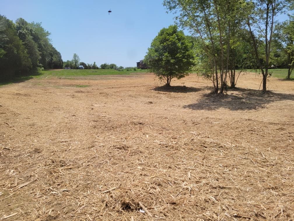 Cleared field after forestry mulching