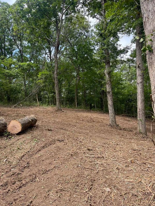 Brush cleared, log set for haul