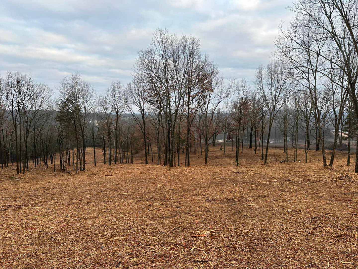 Hilltop lot cleared in winter