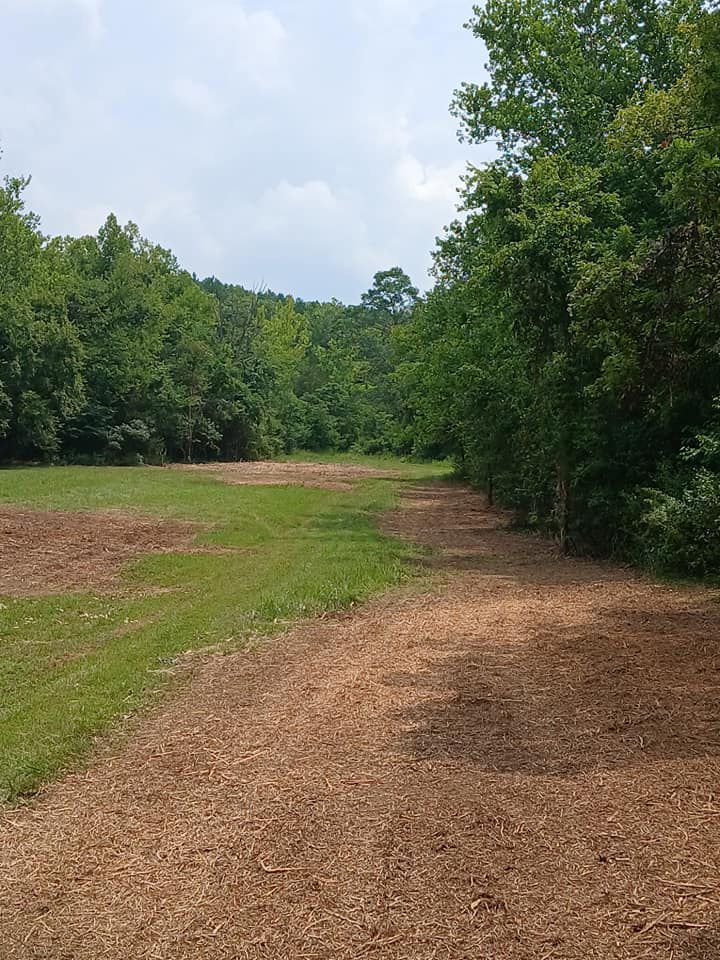 Cleared mulched trail in Missouri timber