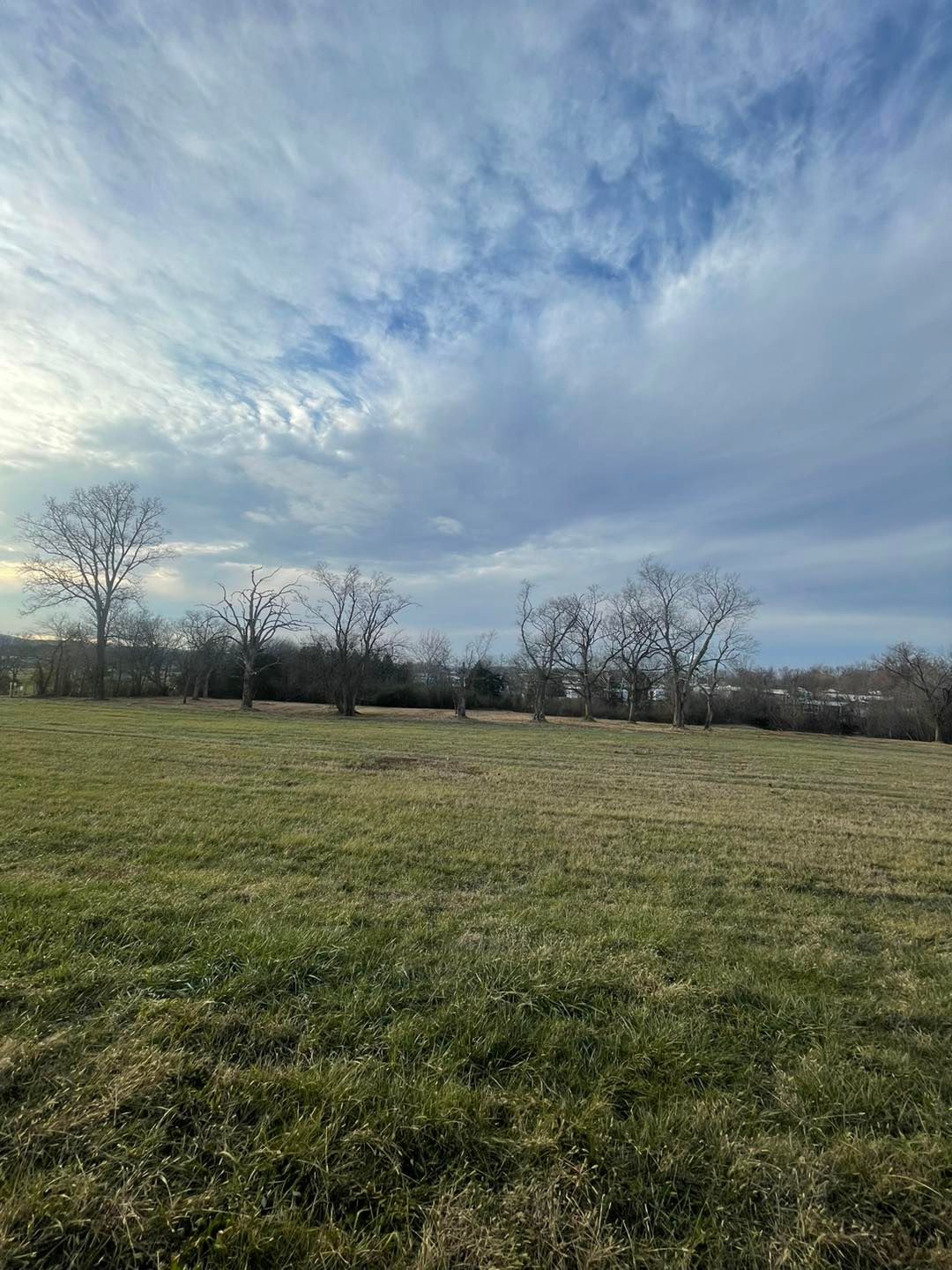 Open pasture restored